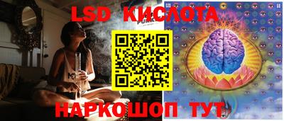 молекула духа Гатчина