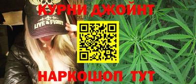 молекула духа Гатчина