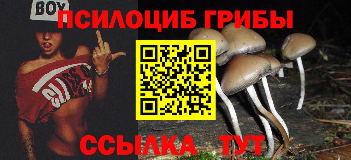 Трёхгорный  Псилоцибиновые грибы ЛСД  Вход с VPN 