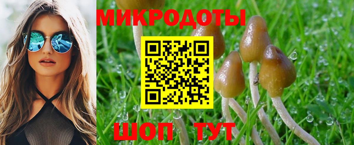 Галлюциногенные грибы мицелий Трёхгорный